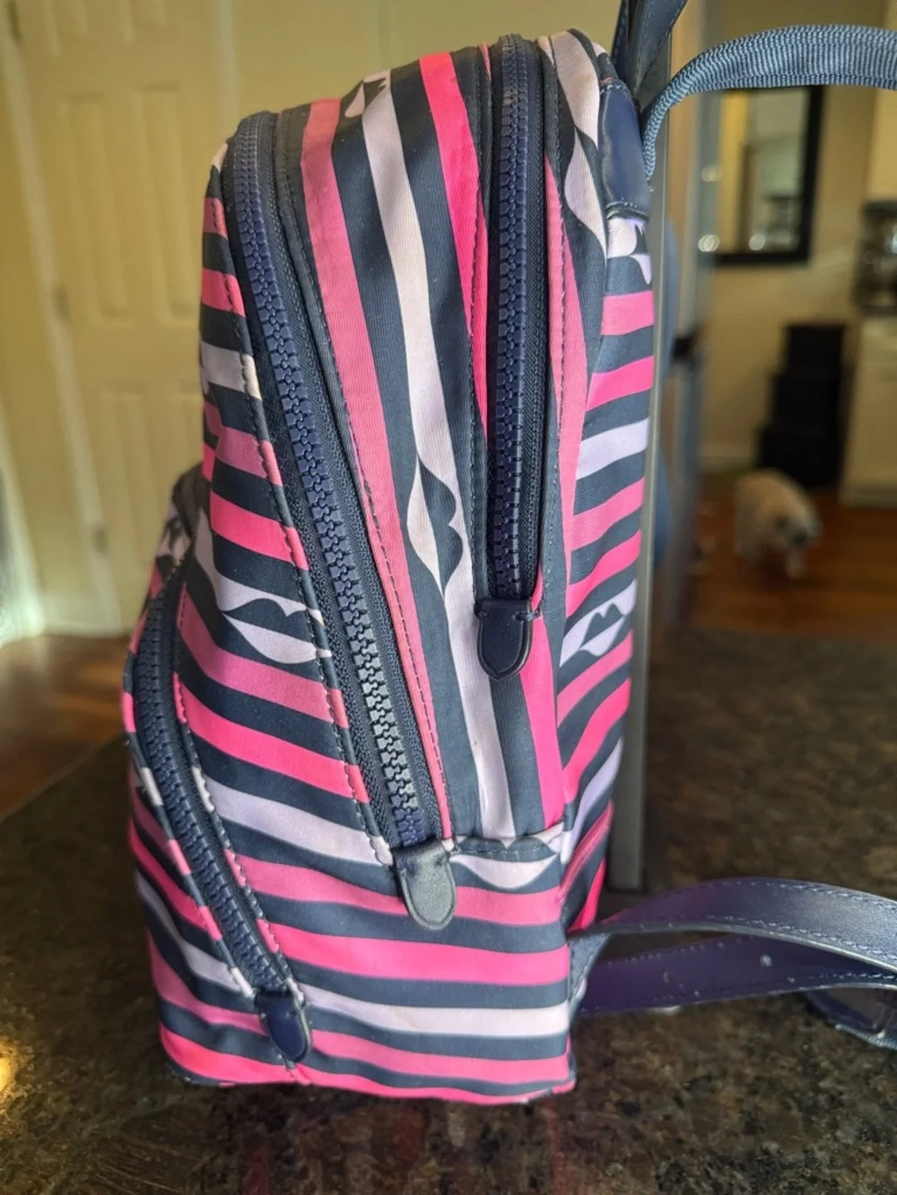 kate spade Navy & Pink Striped Mini Backpack with Lip Motif